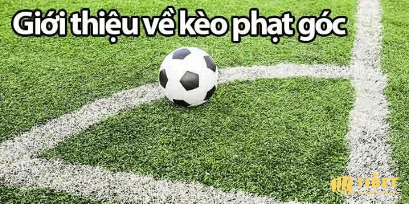 Bạn hiểu gì về kèo chấp phạt góc?