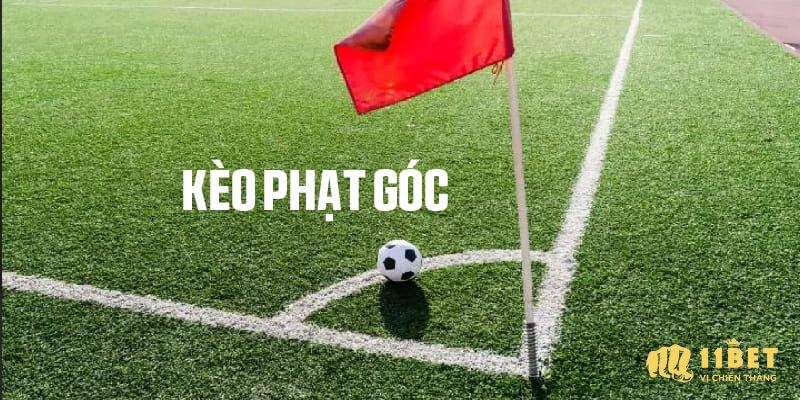 Bật mí cách đọc kèo phạt góc cực chuẩn