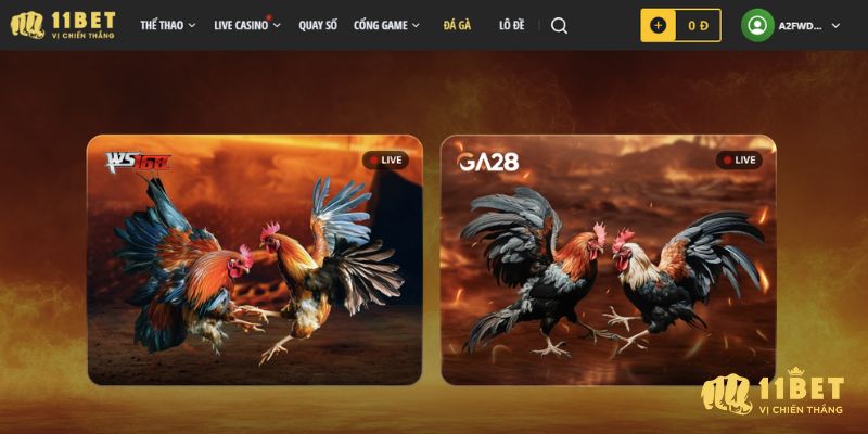 Hai sảnh đá gà phổ biến tại 11Bet