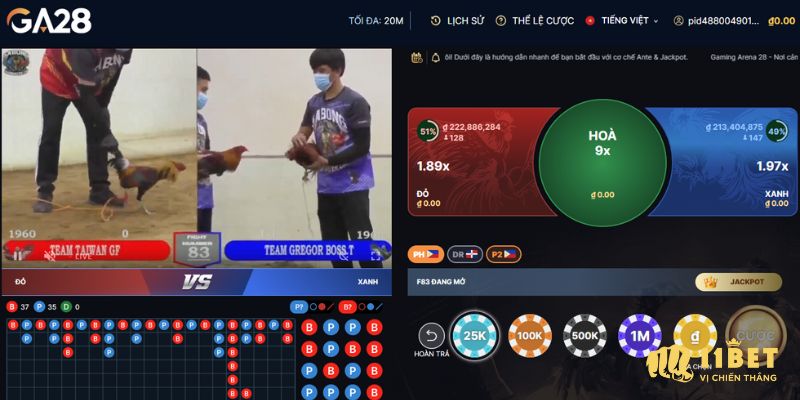Mẹo chơi đá gà 11Bet đỉnh chóp